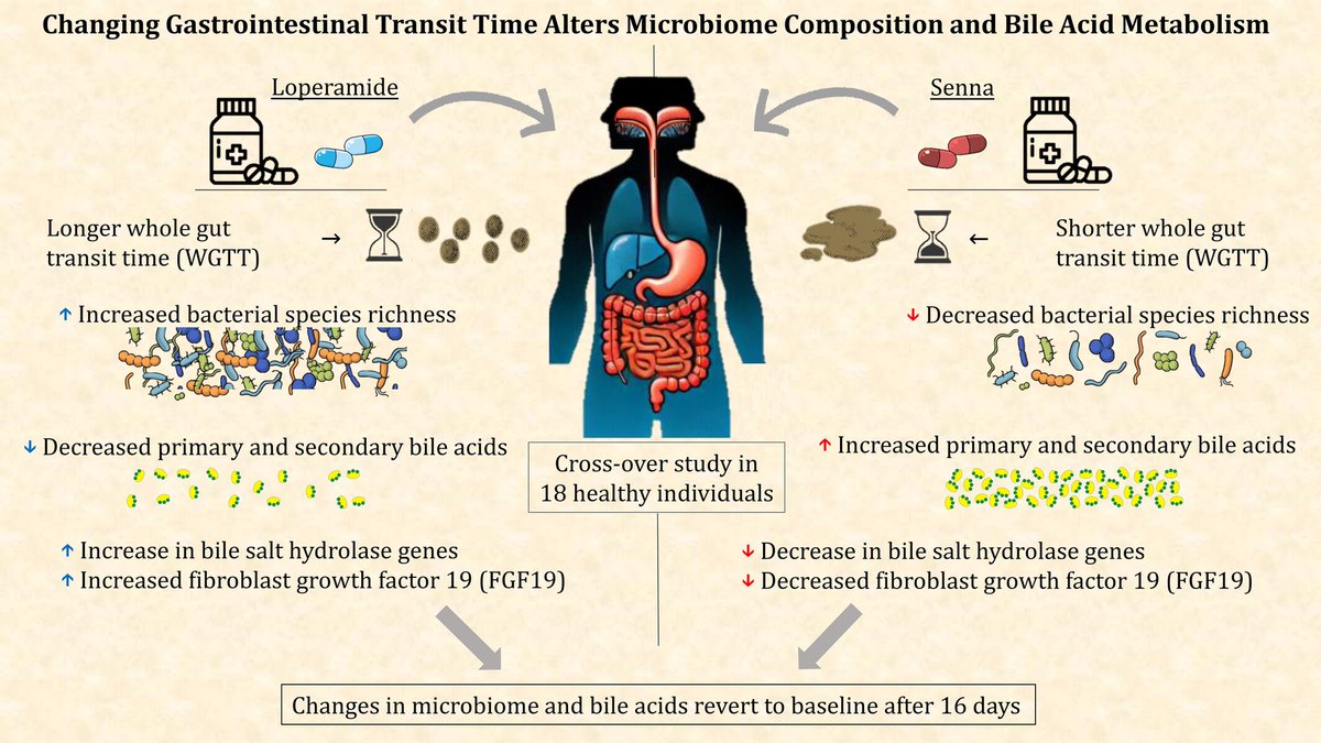 doi.org/10.1111/nmo.70…
We show lower transit time alone decr. microbiome diversity + BA metabolism and incr. fecal BA. Many 'omics studies and breath testing (SIBO) don't take this into account, hindering true progress on IBS/IBD pathomechanism.
<a href="/NGMJournal/">Neurogastro & Motil</a> <a href="/ESNM_eu/">ESNM.eu</a> <a href="/ANMSociety/">ANMS</a>