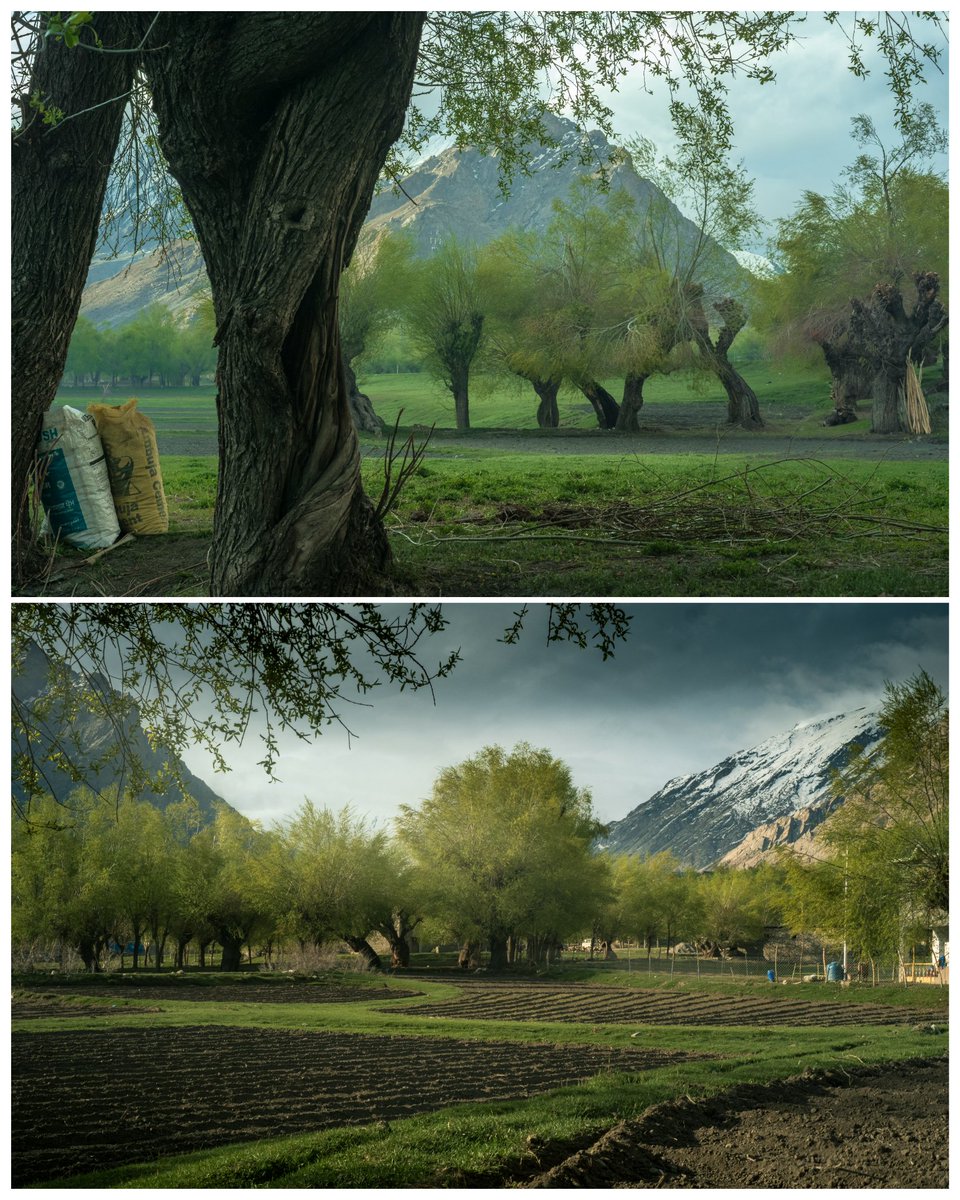 Summer in sankoo Valley
<a href="/utladakhtourism/">Ladakh Tourism</a> <a href="/SyedAinulHuda/">Agha Ainul Huda</a> 
<a href="/LAHDC_Kgl/">LAHDC Kargil</a> <a href="/LadakhTimes/">LADAKH 🌎TIMES </a> <a href="/airnewskargil/">Radio News Kargil</a> <a href="/imteeaz_kacho/">IMTEEAZ KACHO ཨིམ་ཏཱི་ཡཱཟ་ ཀཱ་ཅོ།</a>