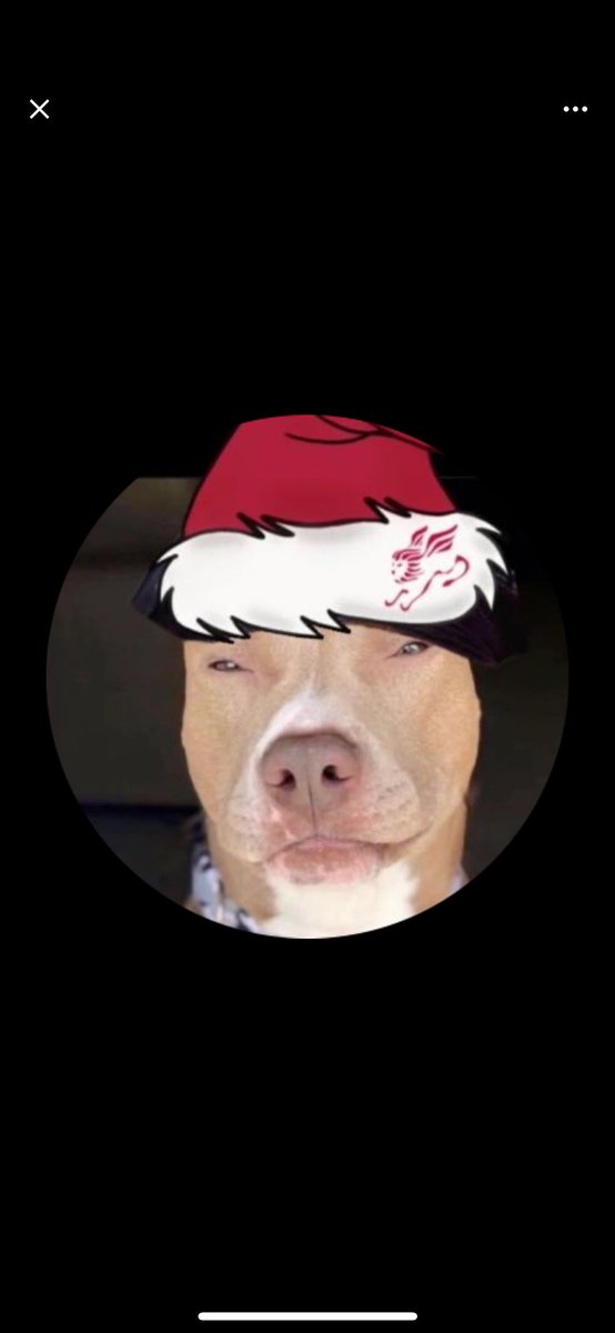 The sniffer dog they hired: