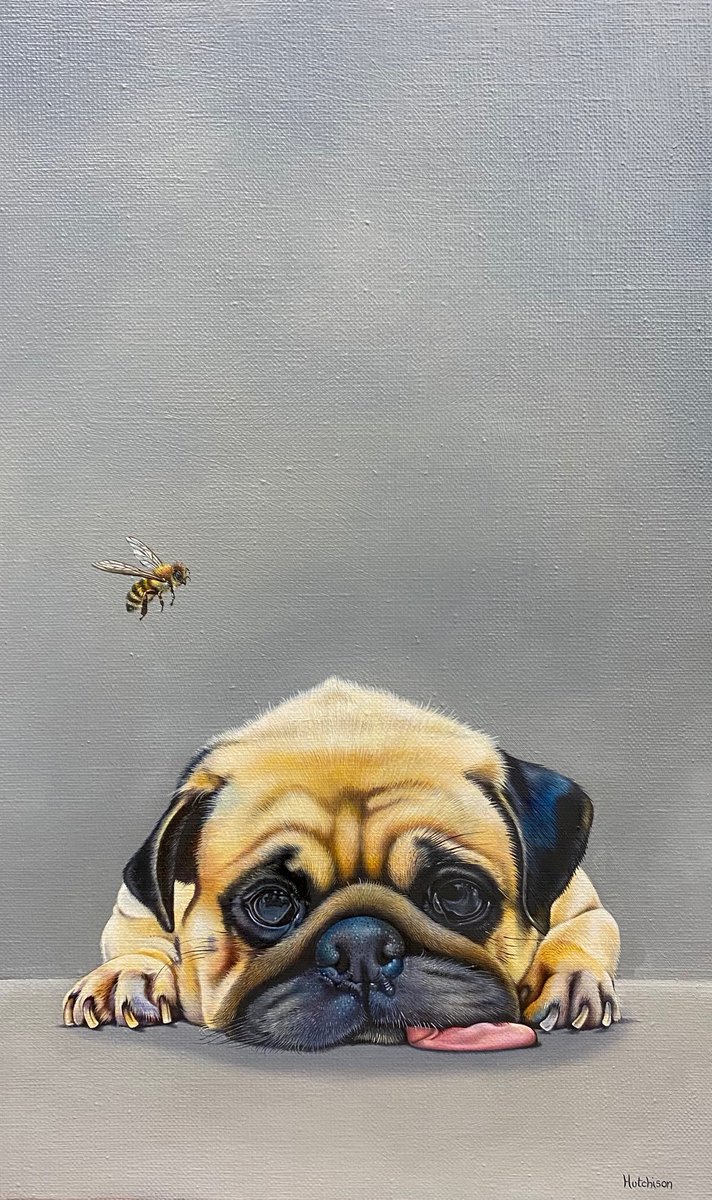 Frames Gallery tweet media