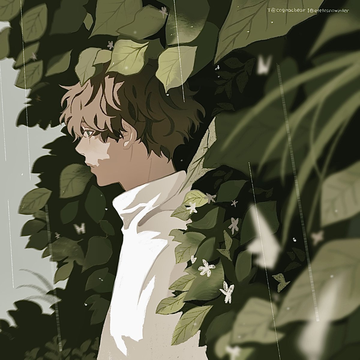 cognacbear's tweet image. 