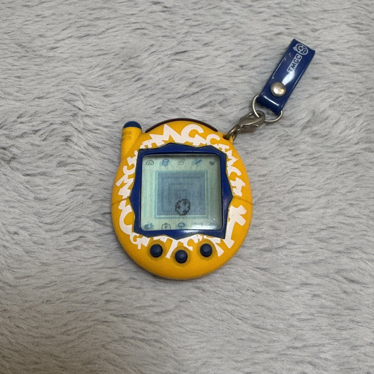 今日からお世話がはじまります🎶