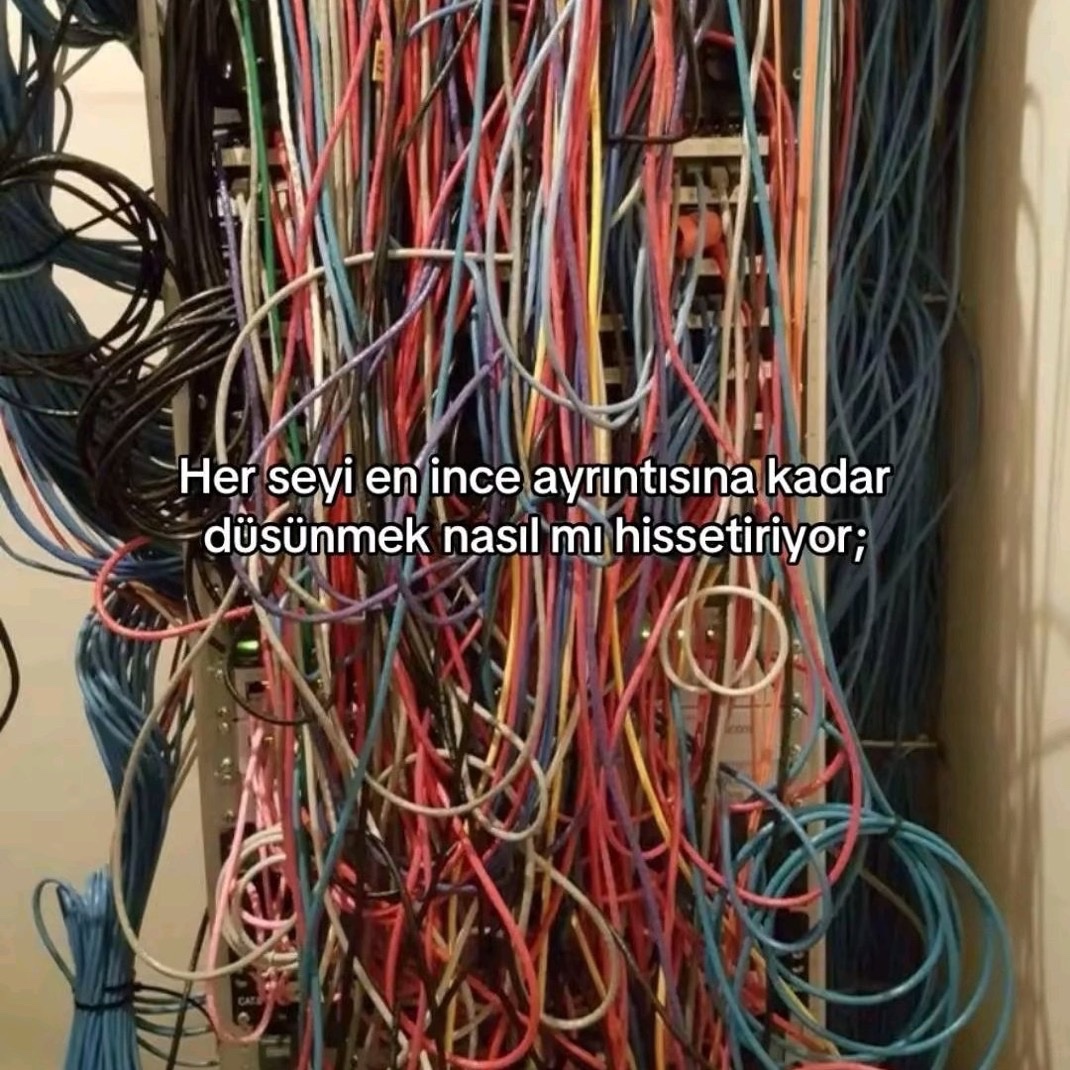 Alnı Öpülesi Tivitler (@alniopulesitivt) on Twitter photo 