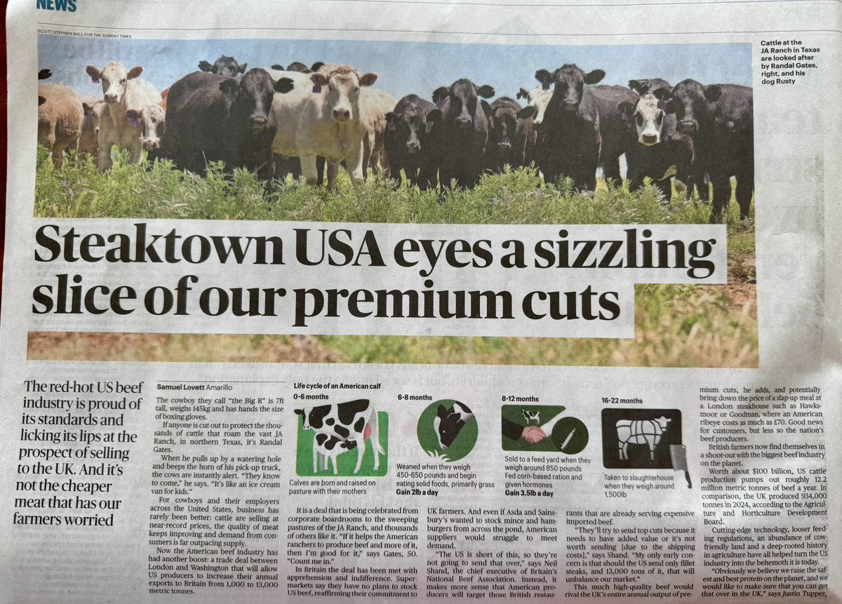 Brexit reality threatening to open up opportunities for USA hormone fed beef to do as the grey squirrels did to our 🇬🇧 red squirrels.