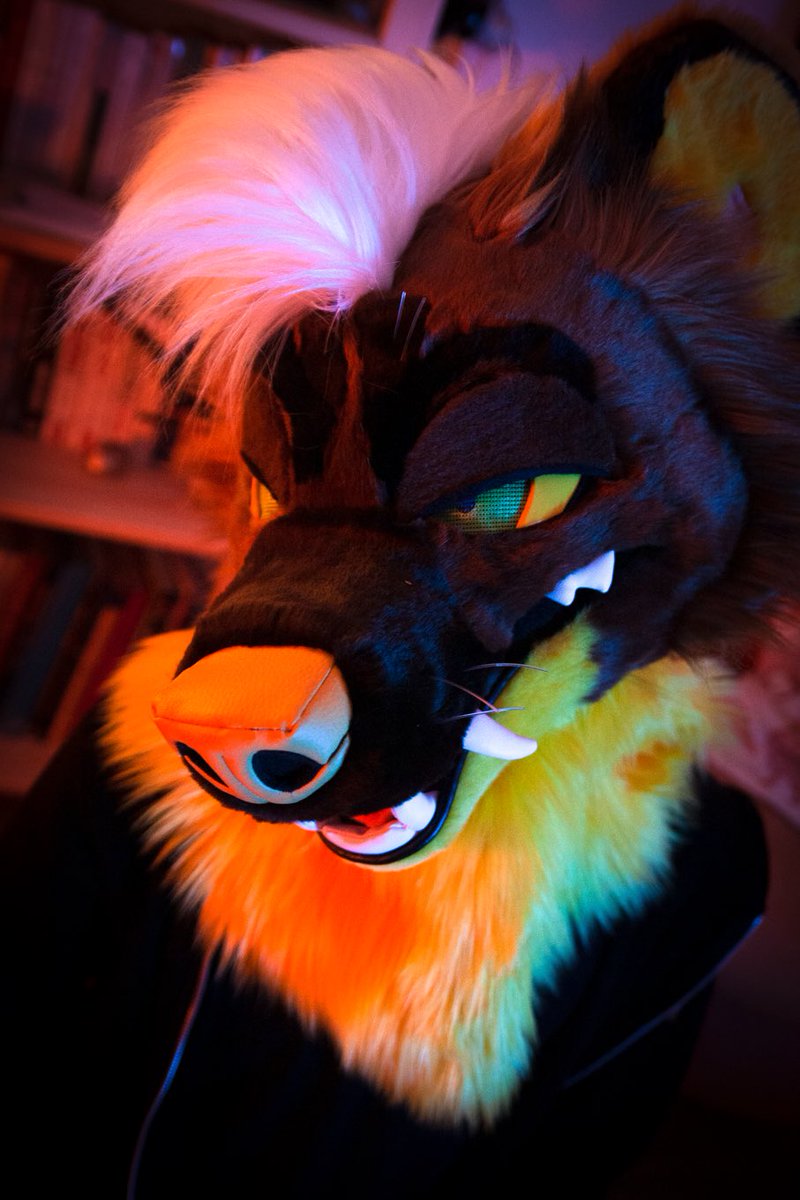🌈✨TOUGHFLUFF✨🌈 tweet media