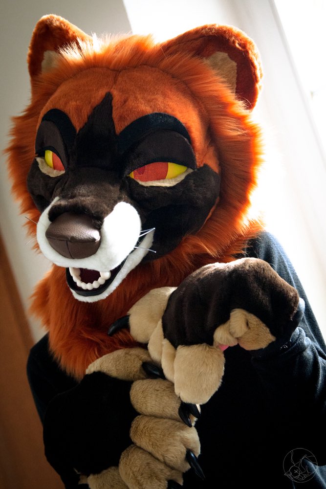 🌈✨TOUGHFLUFF✨🌈 tweet media