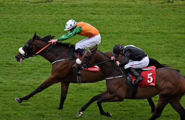 Stephen Thorne Racing tweet media