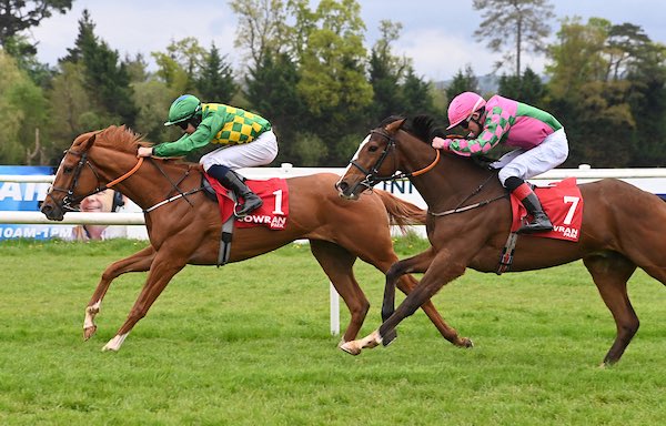 Stephen Thorne Racing tweet media