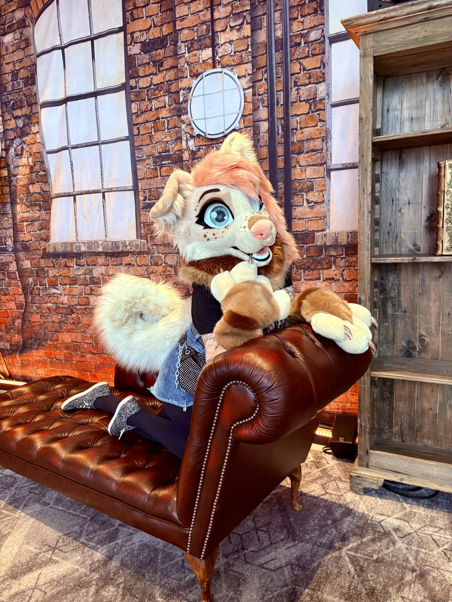 Did you say no dogs on the couch?
Sorry, I didn’t hear you 🙉🙊 #ConFuzzled2025 #CFz2025

🪡<a href="/Fernandfallow/">🌿Fern and Fallow𐂂</a>