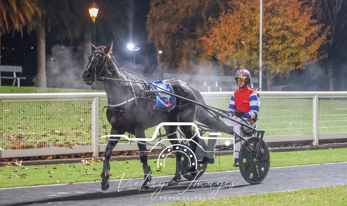 Race 9 - VICTORY IMAGES PHOTOGRAPHY PACE 

OUR SWEET TRIXIE breaks through for her first win for trainer/driver combination Steven &amp; Brodie Davis