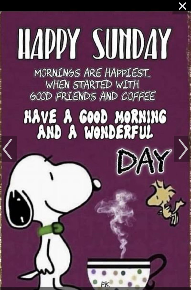 Sharon (@homeofunclesam) on Twitter photo A Blessed and HaPpY Sunday to all. May you each have a wonderful Day. <a href="/blueskies6123/">Blueskies</a> @lupash <a href="/sundoghigh/">Skip 🇺🇸</a> <a href="/Mad_Rebel2/">Mr. Bandy Shanks™</a> <a href="/WmScottBlair/">Scott</a> <a href="/Daves_Grill/">Dave</a> <a href="/roosterpisces/">Rooster Pisces</a> <a href="/JadedByPolitics/">JadedByPolitics</a> <a href="/SavvyHuman/">GG Smiles</a> <a href="/LindaJeanne123/">LJ</a> A Blessed and HaPpY Sunday to all. May you each have a wonderful Day. <a href="/blueskies6123/">Blueskies</a> @lupash <a href="/sundoghigh/">Skip 🇺🇸</a> <a href="/Mad_Rebel2/">Mr. Bandy Shanks™</a> <a href="/WmScottBlair/">Scott</a> <a href="/Daves_Grill/">Dave</a> <a href="/roosterpisces/">Rooster Pisces</a> <a href="/JadedByPolitics/">JadedByPolitics</a> <a href="/SavvyHuman/">GG Smiles</a> <a href="/LindaJeanne123/">LJ</a>