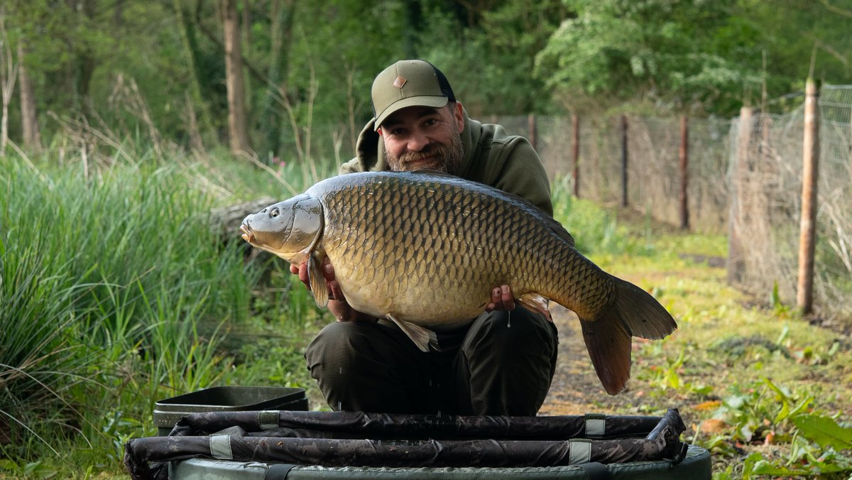 Neil Golden (@golden_ng) on Twitter photo 