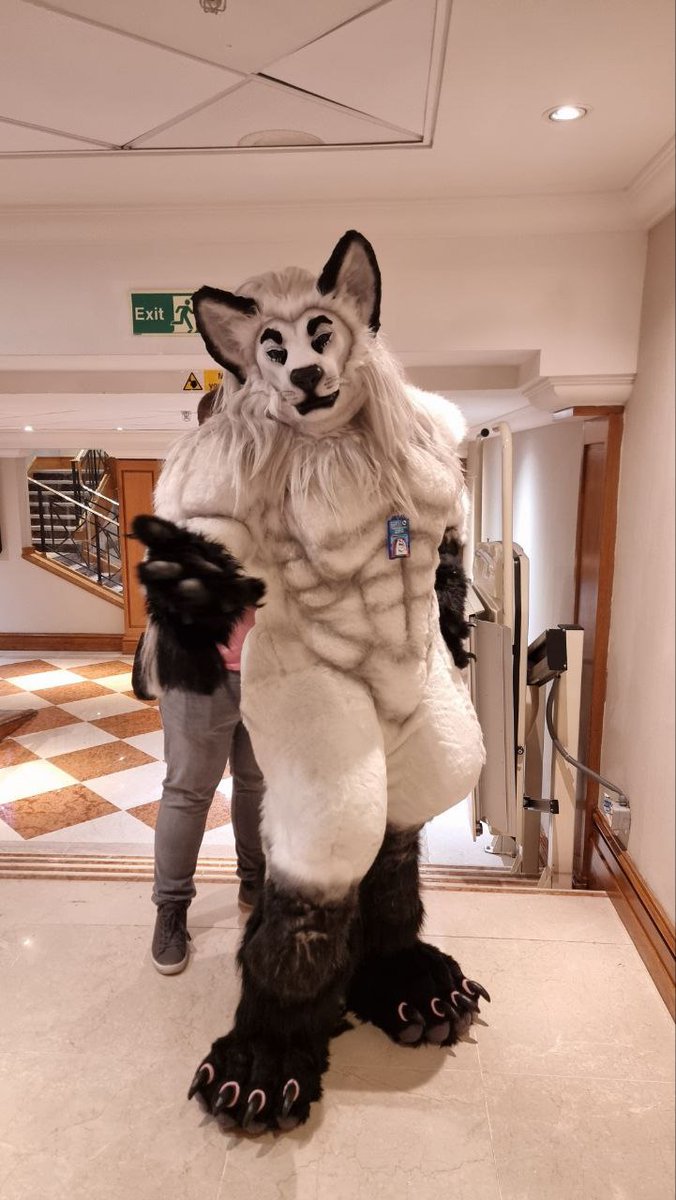 archie_arctic's tweet photo. Gonna be suiting up at 2 if anyone wants to catch me https://t.co/khxqp07h6b