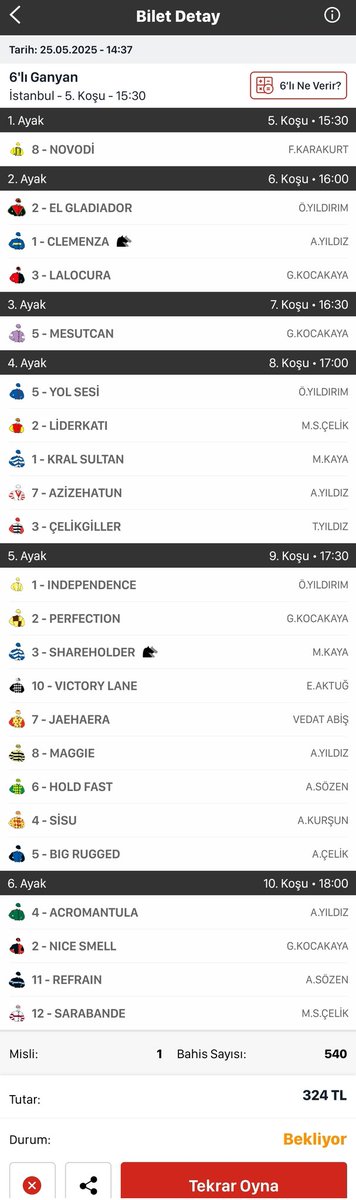 İlk ayakta NOVODİ deneyeceğim.
Bu atın annesi G1 Ankara Koşusu galibi, uzun mesafelerin elit safkanı Cihanım'ın kardeşi. Approve ile eşleşmesi uzun mesafede gitgide iyi olacağını hissettiriyor. Zaten son yarışında bu yarışın favorilerinden Rotavatör'ü de geride bıraktı. Bankom.