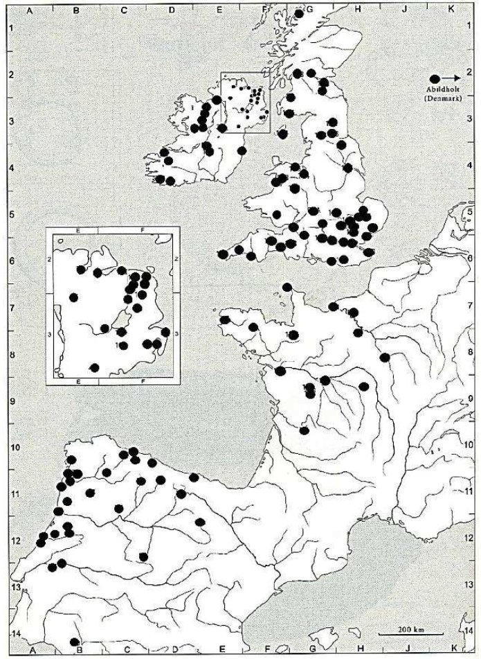 Atlantic Bronze Age ceremonial cauldrons 🪣