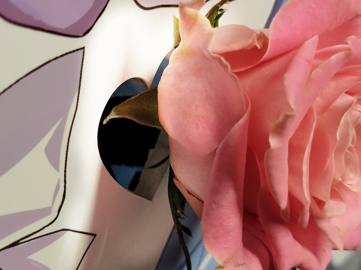 「ウマ娘 6th EVENT The New Frontier」に出走したアーモンドアイちゃん・石原夏織ちゃんにフラスタをお贈りしました！
イラストは クロ（ <a href="/retasux2/">クロ＊。</a> ）さんです🌹
ご支援いただいた皆さまありがとうございました！
#ウマ娘  #ウマ娘6th