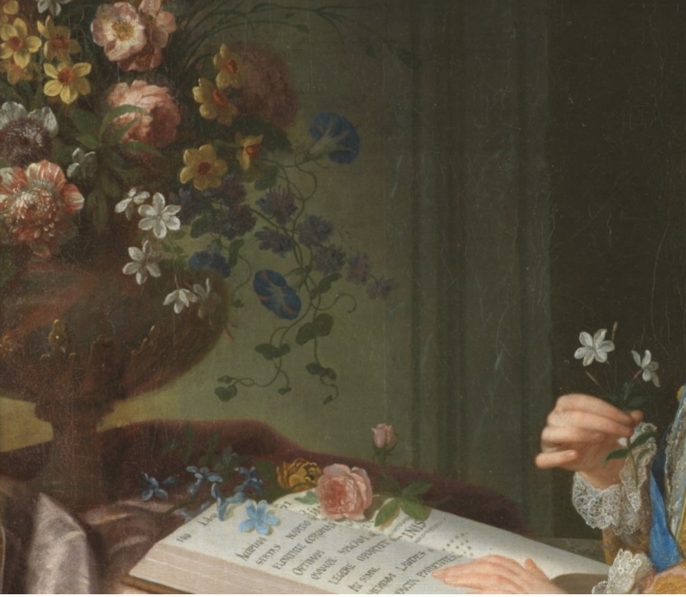 Carlos III niño en su gabinete (1724), de Jean Ranc. 
Es decir, estudiando botánica. Véase el detalle.
Este rey impulsaría la creación de la Colina de las Ciencias de Madrid, que incluía, entre otros, el Museo de Ciencias Naturales (hoy, Museo del Prado) y Real Jardín Botánico.