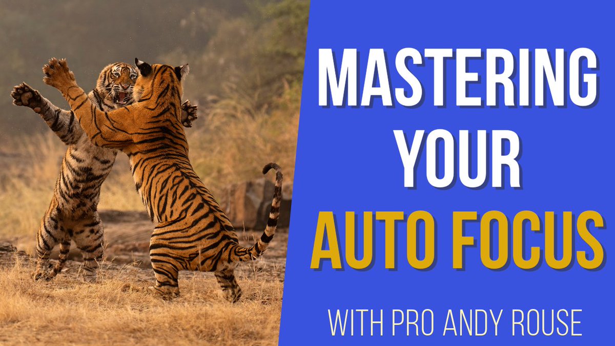 Video is proving popular so check it out for plenty of hints, tips and inspiring images. youtu.be/t1x-qvcxuOo