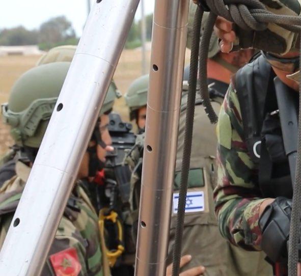 Karim Hassoun ~ كريم حسون tweet media