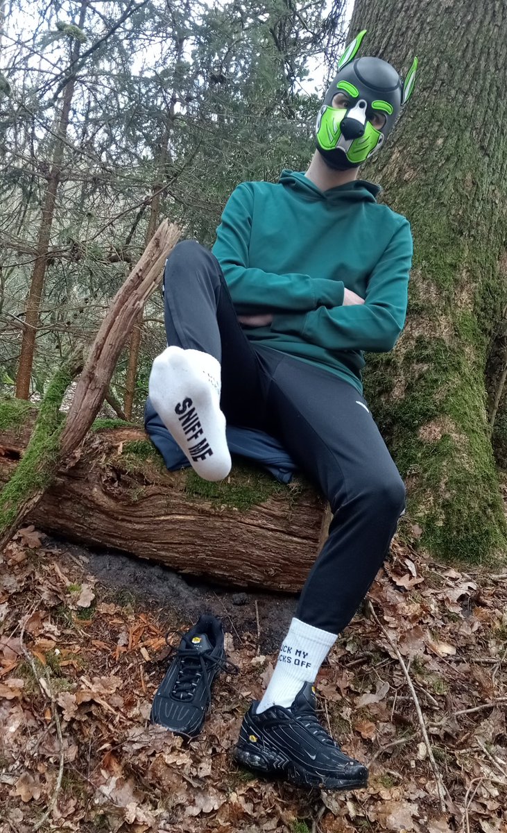 You know what to do boy!