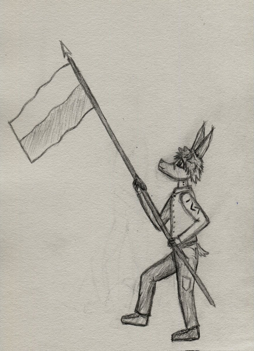 RunoTheBat's tweet image. Been playing a lot of helldivers 2 recently, flag is the best!