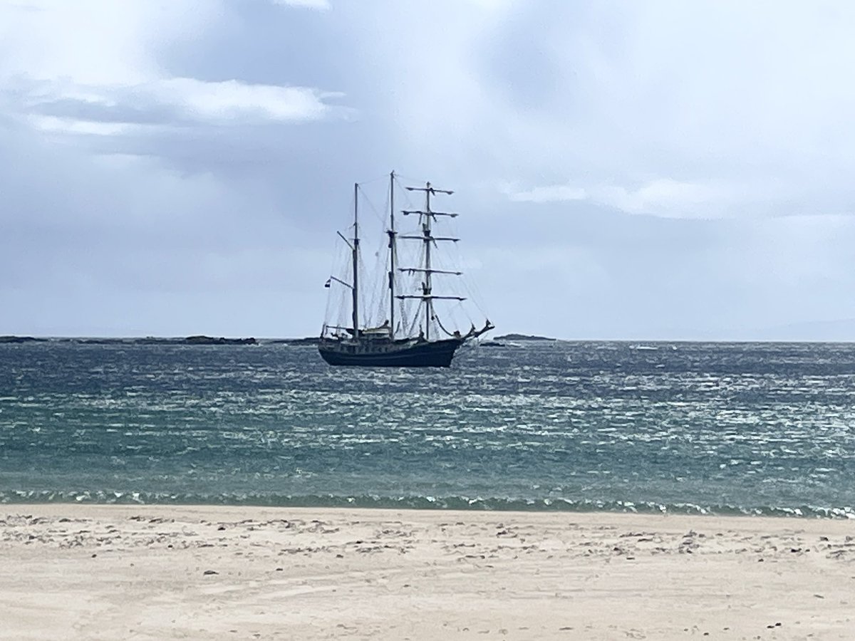 Winna Ding tweet media