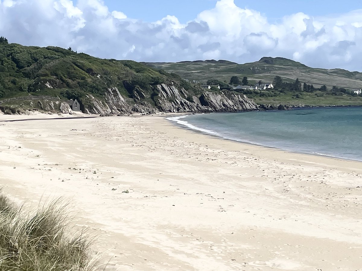 Winna Ding tweet media