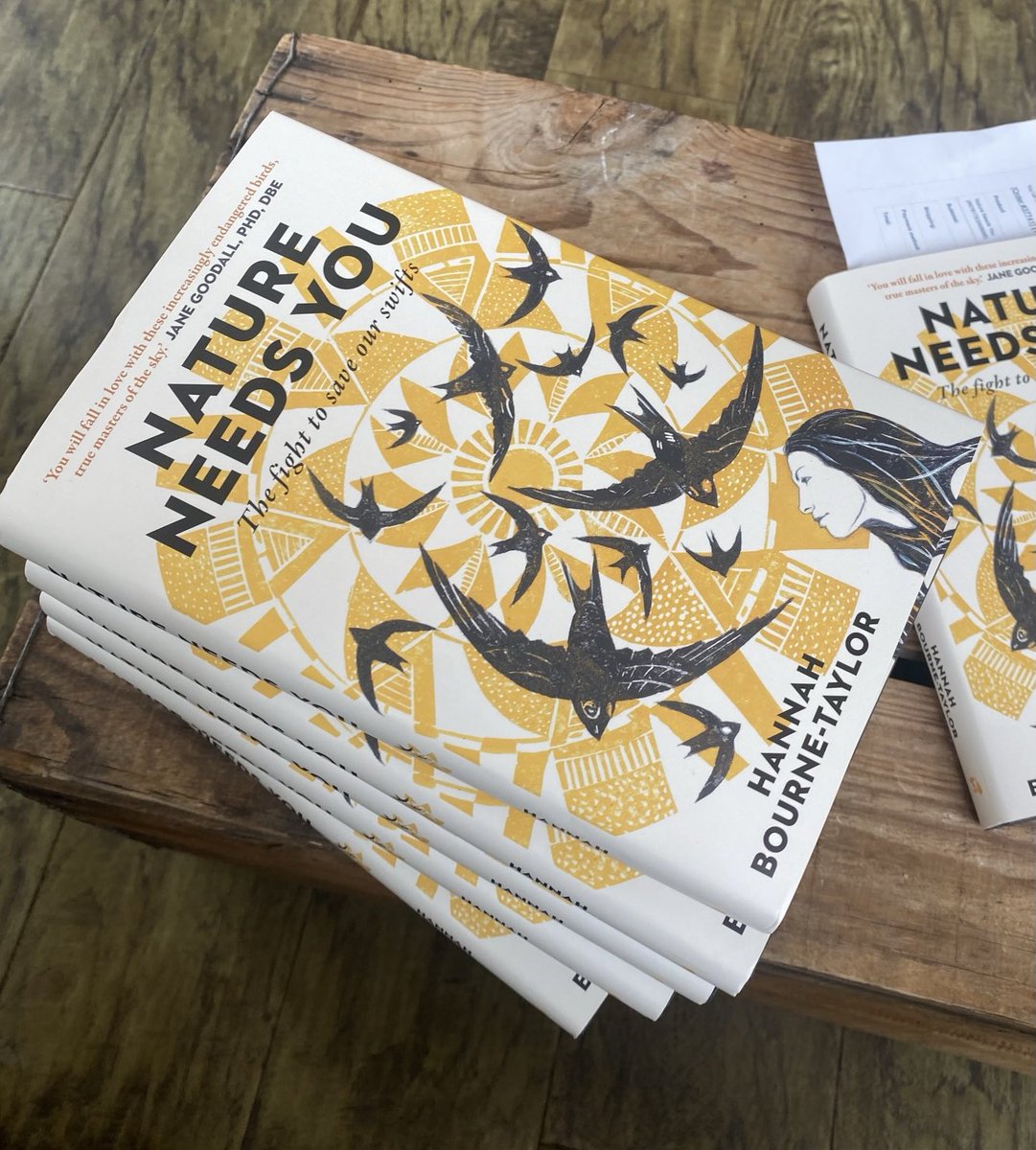 I don’t need advice.I need help.If the number of people offering advice changed into people making it their mission to get their MP to sign this EDM edm.parliament.uk/early-day-moti… the birds would have a much better chance. #NatureNeedsYou #TheFightToSaveOurSwifts tells the story so far