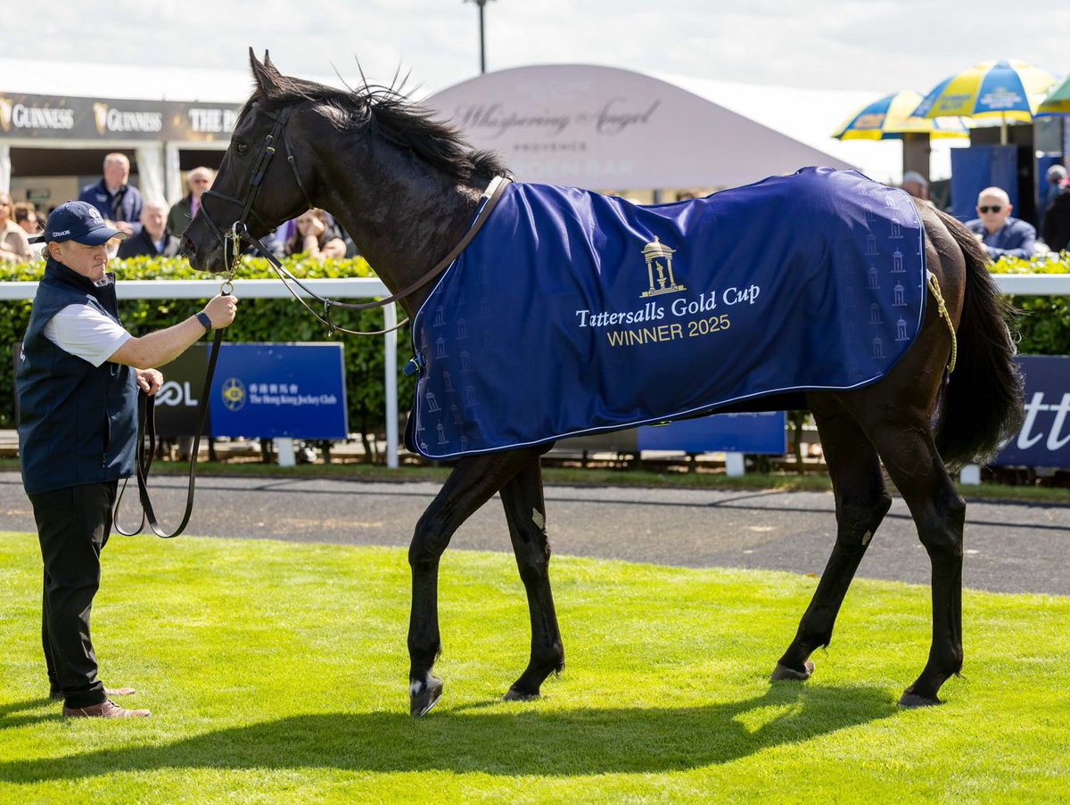 Tattersalls (@tattersalls1766) on Twitter photo โจ๐๐๐ ๐๐๐๐๐๐๐โจ
Gr.1 Tattersalls Gold Cup winner
<a href="/curraghrace/">The Curragh Racecourse</a> <a href="/Ballydoyle/">Ballydoyle Racing</a> โจ๐๐๐ ๐๐๐๐๐๐๐โจ
Gr.1 Tattersalls Gold Cup winner
<a href="/curraghrace/">The Curragh Racecourse</a> <a href="/Ballydoyle/">Ballydoyle Racing</a>