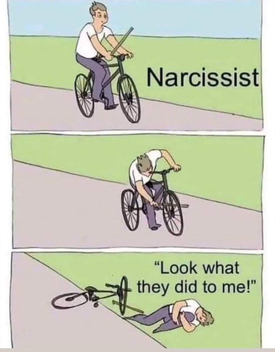 YourMomIsANarcissist (@momnarcissistic) on Twitter photo 