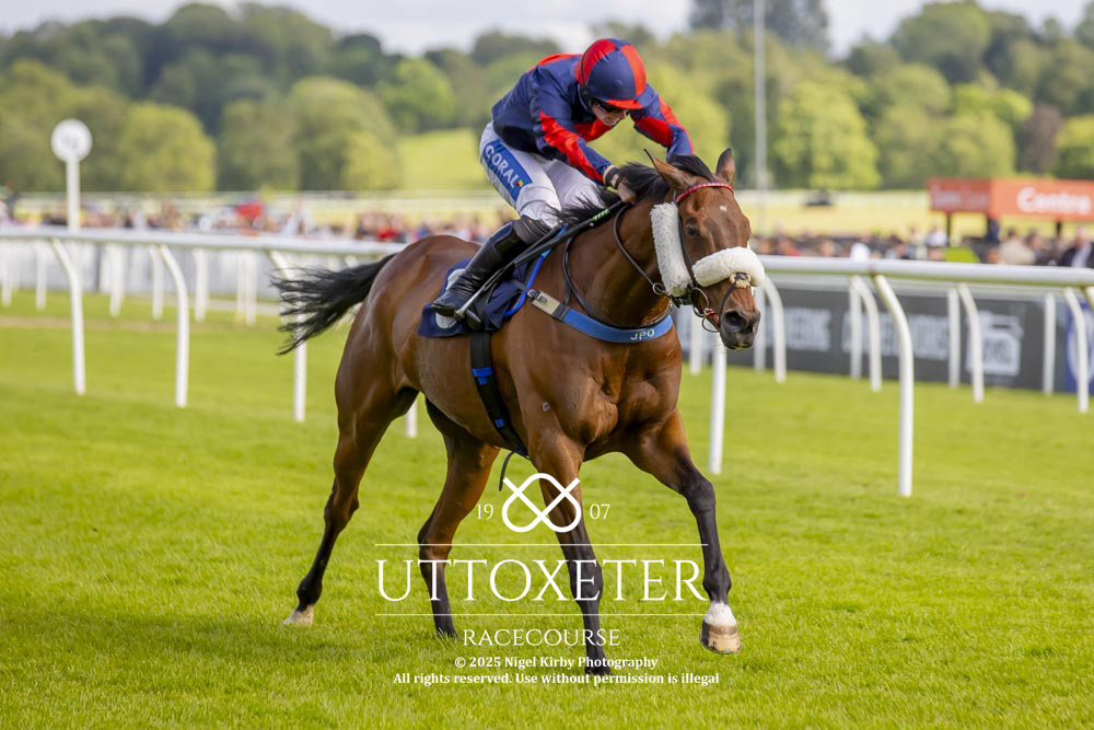 Uttoxeter Racecourse (@uttoxeterraces) on Twitter photo Race 5 - Steve Budding 60th Year Celebration Handicap Chase (GBB Race)
Winner - Leading Force
Trainer - <a href="/JPOwenRacing/">James Owen Racing</a>
Jockey - <a href="/Sean_Bowen_/">Sean Bowen</a>
Owner - <a href="/DevaRacing_/">Deva Racing</a>
All images taken by - Jonathan Hipkiss on behalf of <a href="/nigekirby/">Nigel Kirby Photography</a> Race 5 - Steve Budding 60th Year Celebration Handicap Chase (GBB Race)
Winner - Leading Force
Trainer - <a href="/JPOwenRacing/">James Owen Racing</a>
Jockey - <a href="/Sean_Bowen_/">Sean Bowen</a>
Owner - <a href="/DevaRacing_/">Deva Racing</a>
All images taken by - Jonathan Hipkiss on behalf of <a href="/nigekirby/">Nigel Kirby Photography</a>