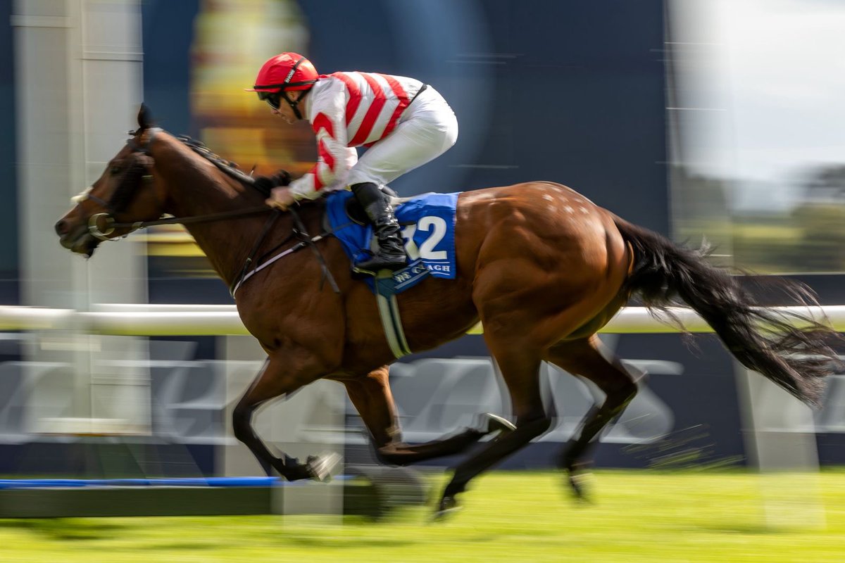 The Curragh Racecourse (@curraghrace) on Twitter photo A strong performance from Robbie’s Rock , who lands the Cryoclinic.ie Handicap under Gary Carroll for trainer <a href="/gavincromwell1/">GavinCromwell Racing</a> . ✨🏆
Congratulations to all involved.🏇🎯 A strong performance from Robbie’s Rock , who lands the Cryoclinic.ie Handicap under Gary Carroll for trainer <a href="/gavincromwell1/">GavinCromwell Racing</a> . ✨🏆
Congratulations to all involved.🏇🎯