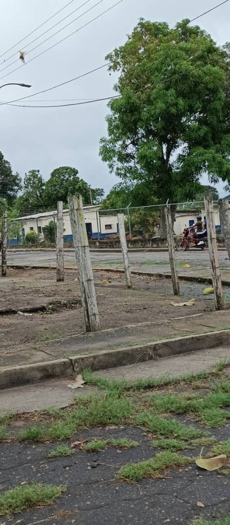 🗳️ Hoy no elegimos, hoy designan. Dejamos los centros vacíos y llenamos las calles de dignidad. Desde El Palmar #YoNoObedezco #VenteBolívar #YayoVoteEl28J