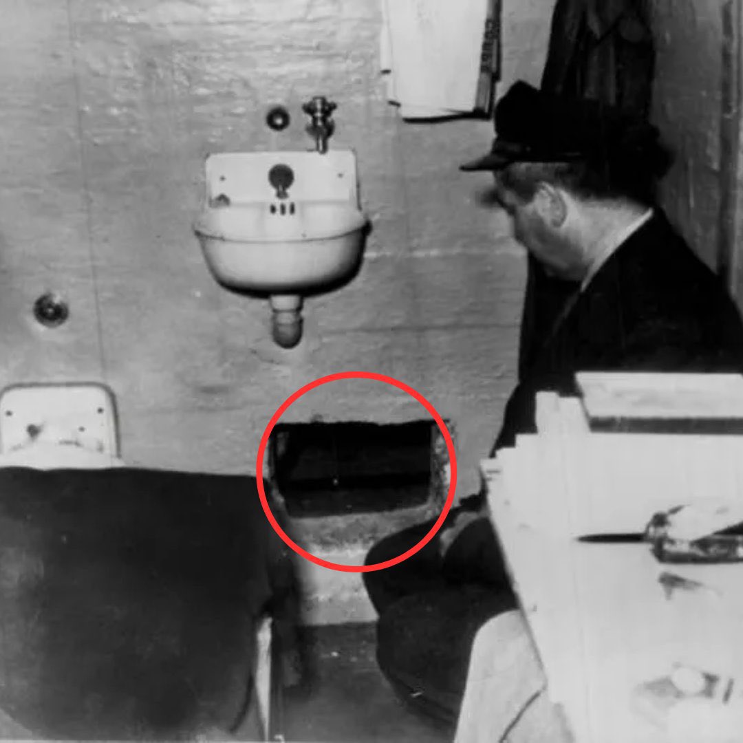 Alcatraz était faite pour rendre toute évasion impossible.

• Des requins rôdaient autour.
• Des gardes postés à chaque tour.
• Des courants glacés mortels.

Pendant des années, aucune évasion réussie jusqu’au 11 juin 1962

Voici l’histoire de la plus grande évasion de prison: