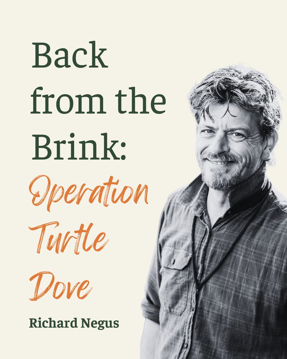 "Operation Turtle Dove provides a template for species recovery projects. As seen here, conservation success is possible, because disparate groups become blind to their differences and instead celebrate their similarities."

Read more  from Richard
scribehound.com/countryside/sh…