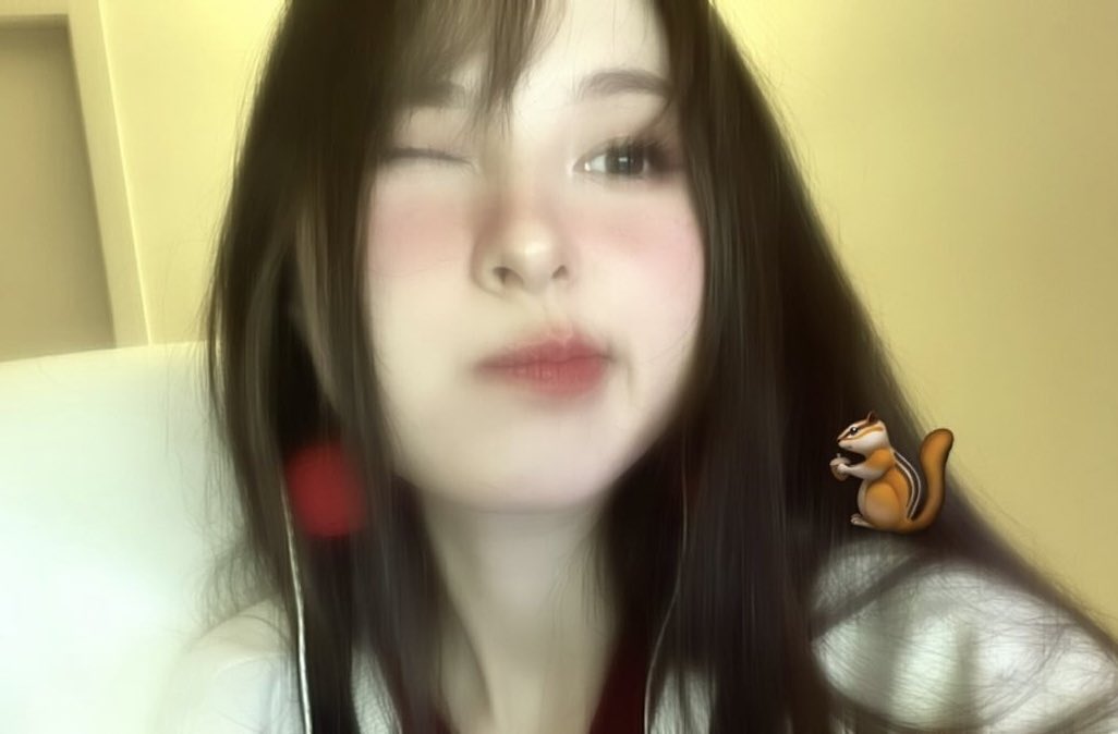 daily tina (@mytinakitten) on Twitter photo 