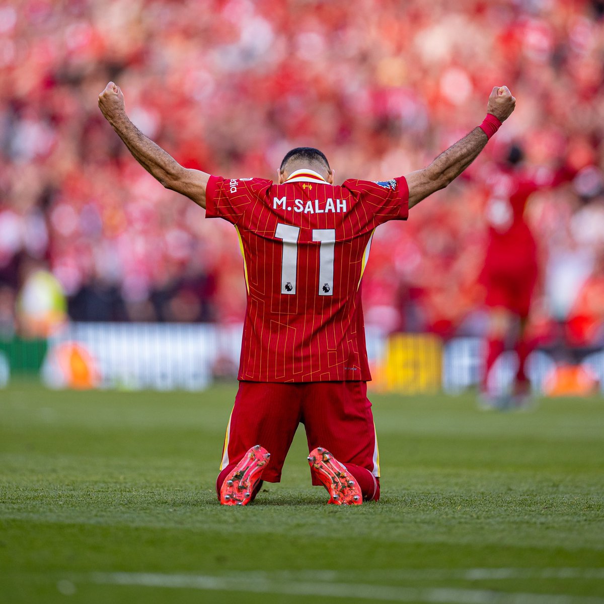 🚨🚨🚨🚨🚨🚨🚨🚨🚨🚨🚨🚨🚨🚨🚨

عااااااااااااااااااااااااااااااااااااااااااااااااااااااااااجل —  رسميًا :

محمد صلاح يحقق جائزة الحذاء الذهبي في البريميرليغ للمرة الرابعة في تاريخه ♥️😱

✅ موسم 2024/25م
✅ موسم 2021/22م
✅ موسم 2018/19م
✅ موسم 2017/18م