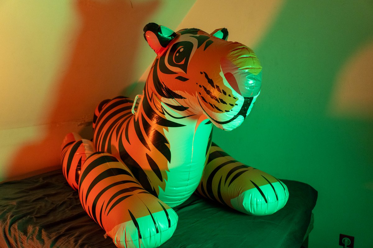 univers des gonflables et furry (@gonflablefr) on Twitter photo 