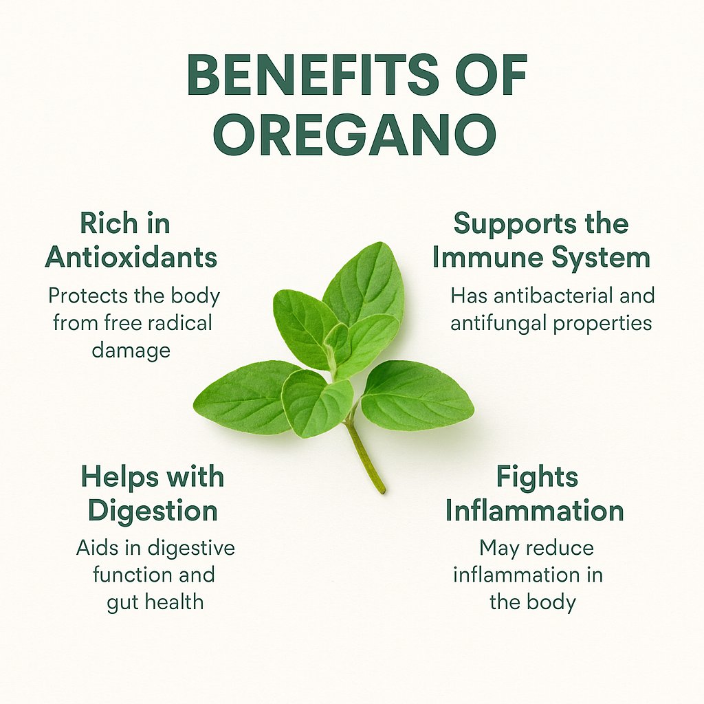 Itcnutstr's tweet photo. 🌿 Oregano Tea is amazing! Boost immunity, soothe cough, support hair, skin, &amp; more.

👉 Full guide: https://t.co/lwx7TbizjF 

#OreganoTea #HerbalTea #NaturalHealth #TeaLovers @NaturallyFTW @HeathHeatherTea @joshcalebgarden https://t.co/NpZGs8OjUb