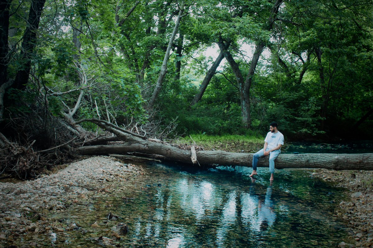 robert ivory tweet media