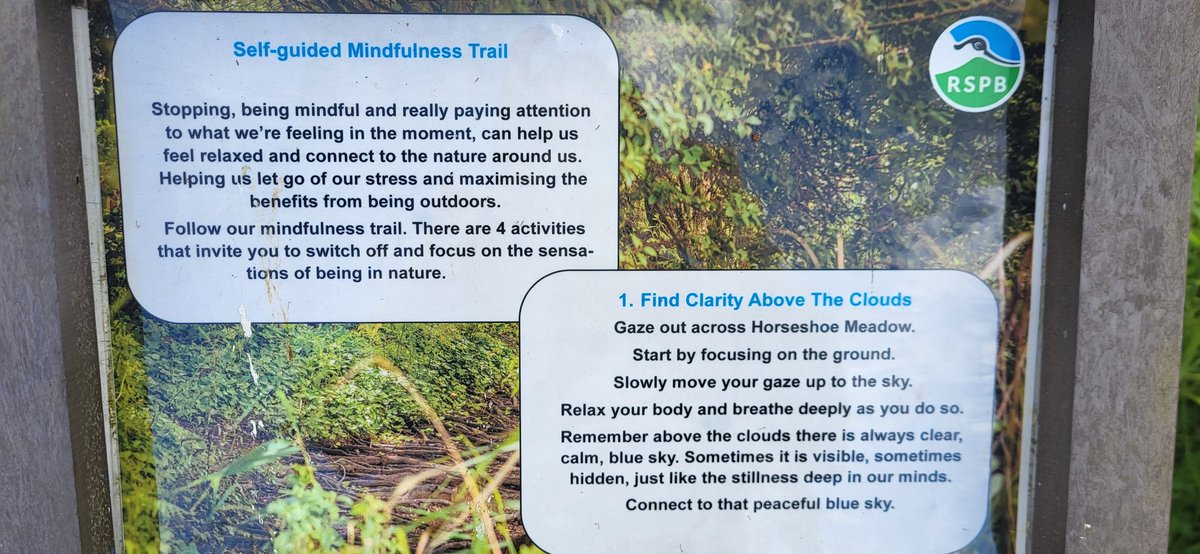 Sometimes, all you need is to sit and stare into space...

#mindfulness #sundayreflections 

<a href="/Natures_Voice/">RSPB</a> <a href="/Blacktoft_Sands/">RSPB Blacktoft Sands and the Humber</a>