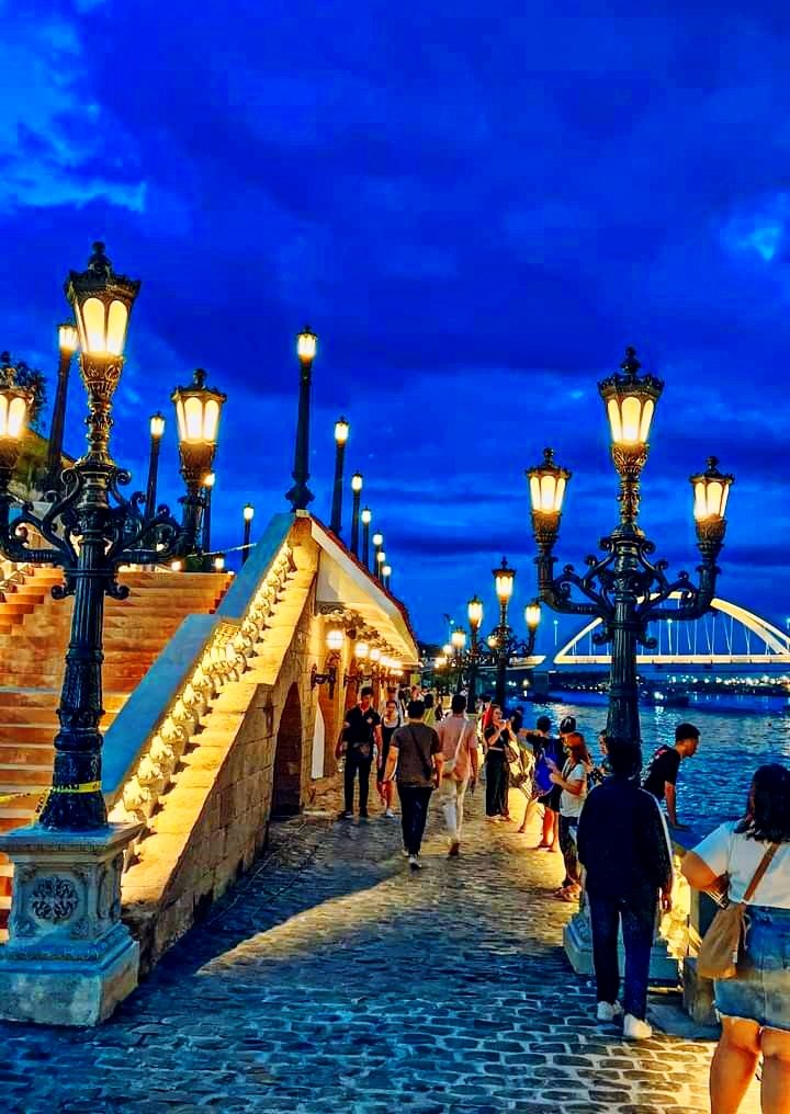 GOOD NIGHT DEAR 𝕏 FAMILY 💞🌷

HAVE A WONDERFUL NIGHT 🌉💞🌹