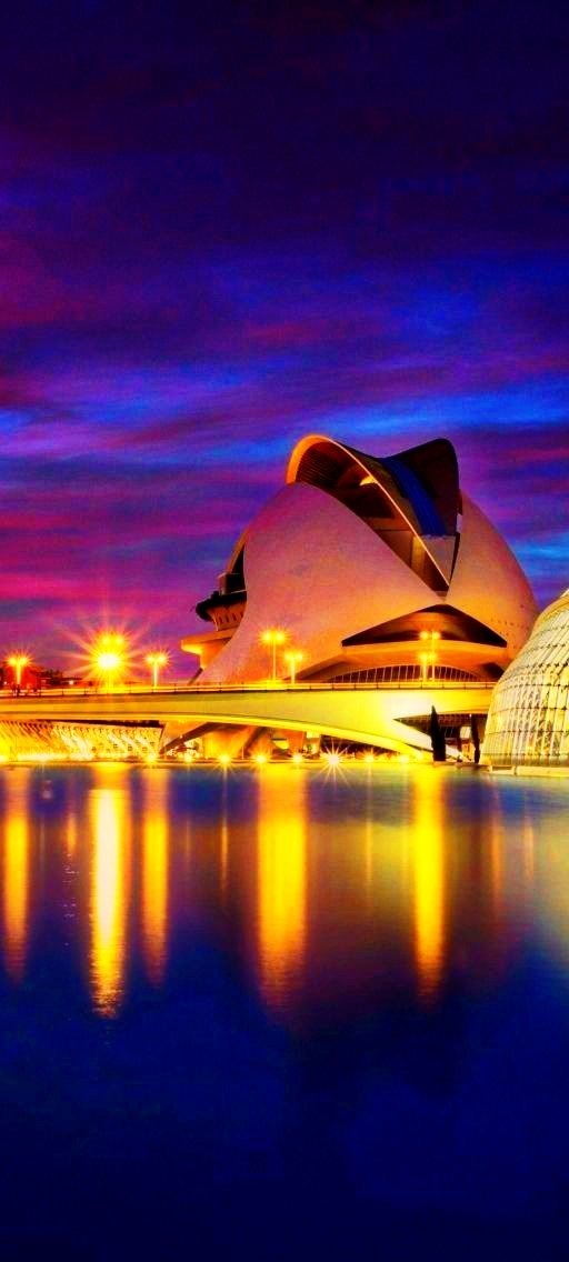 Good Night Dear 𝕏 Family 🌷💞

Beautiful Night View Of Science Museum In Valencia, Spain 🌇🌹