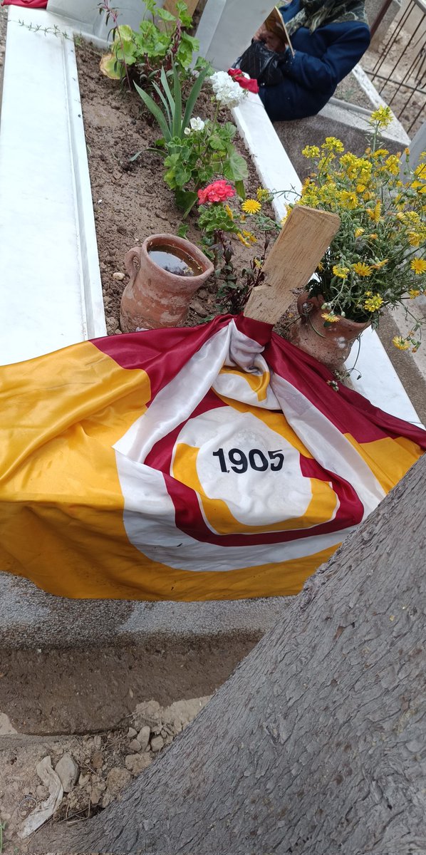 "Bu takım beni kalp krizinden öldürecek" diyecek kadar seven,öldüğünde tabutunun üstüne GS bayrağı koyan arkadaşlarının olduğu bir abiyle büyürseniz doğuştan Galatasaray'lı olursunuz 
Biliyorum,elin kalbinde, bir yerlerde görüyorsun 

Şampiyonluğumuz kutlu olsun
#yenikapı
#GSFest