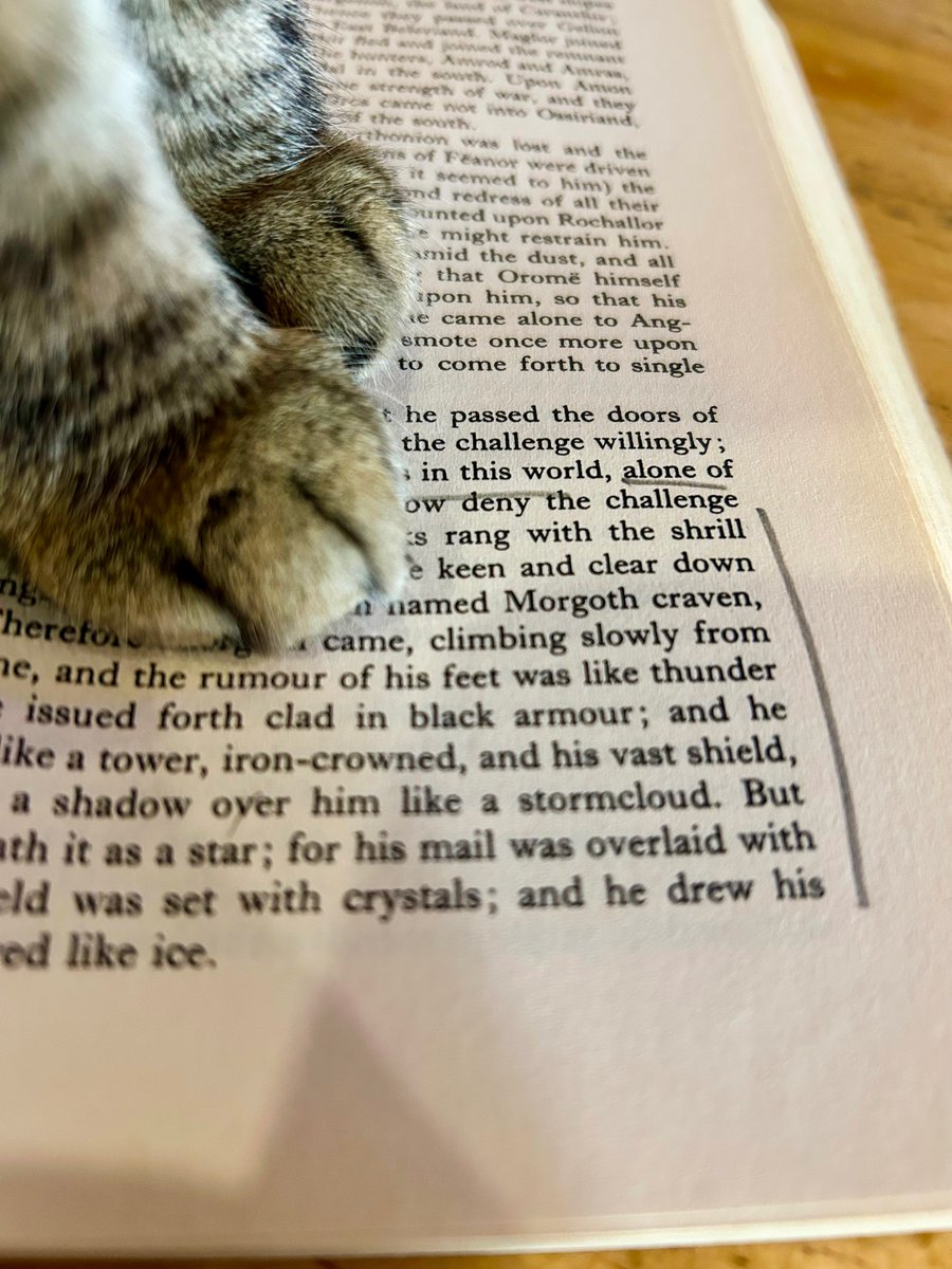 thedividingline's tweet image. #AvidReader. 

#Cat #Pet #Love #Miller #Meow #PussyCat #KittyCat #Kitty #Adorable #Paws #Reader #TheSilmarillion.