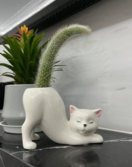 Finally found a vase that perfectly interprets the "Long-tailed Cat".
At first glance, it's just cute, and at another glance, you want to ask everyone to see it!