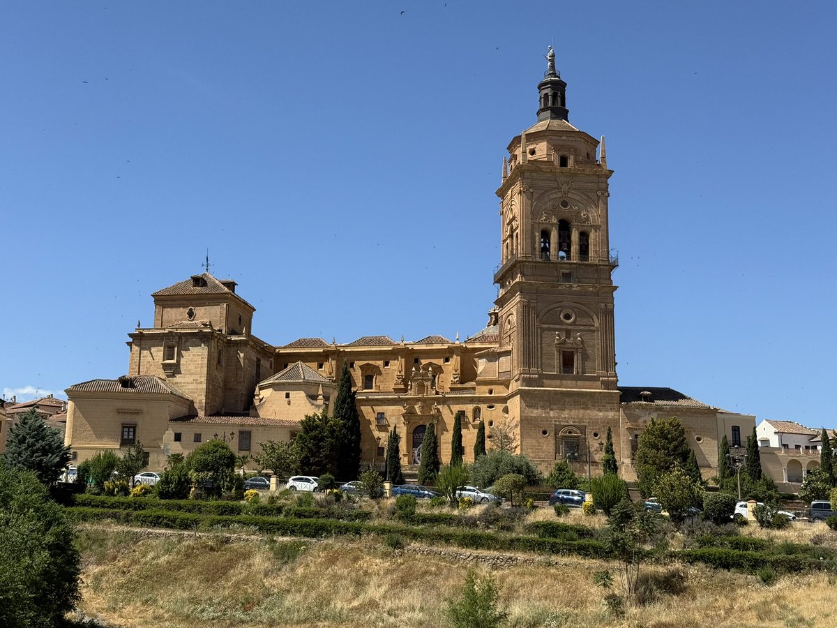 markswalking tweet media