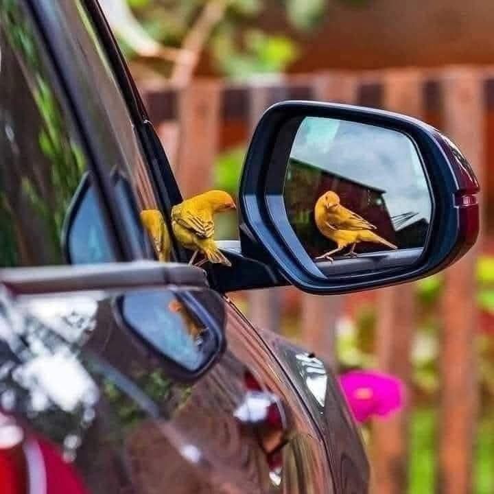Y si te fijas bien, #Dios está en cada pedacito del día. ❤️