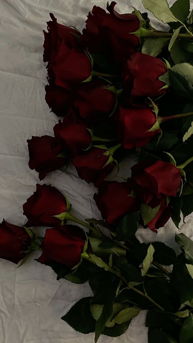 ⠀
⠀        ⠀    𝐋𝐈𝐍𝐄𝐓𝐓𝐄.
━━━━━━━━━━━━