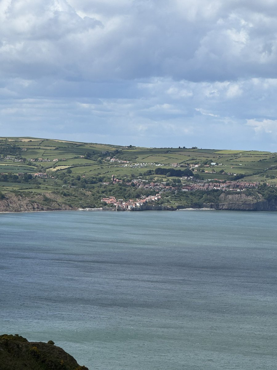 yarmySue's tweet photo. Walk in our favourite place this afternoon #ravenscar #northyorkshirecoast https://t.co/OeXp93l1LC